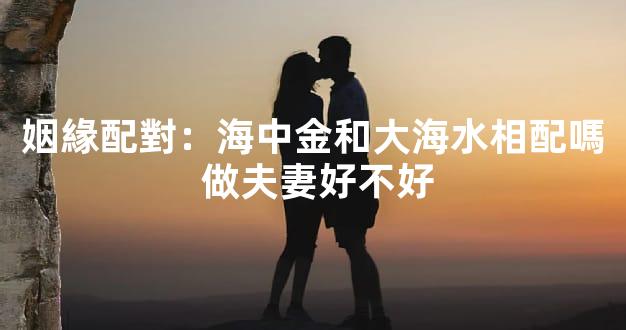 姻緣配對：海中金和大海水相配嗎 做夫妻好不好